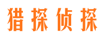 新青市场调查